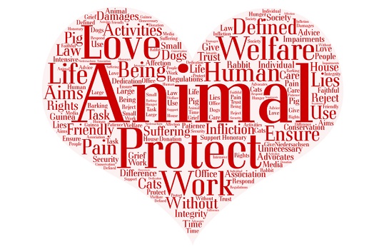 Animal Lover's Club
