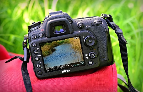 NSPL’s Outdoor Photo Safari Shoots-Catapano Dairy Farm/8 Hands Farm