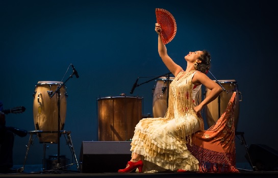 Concert: Sol Y Sombra: Latin Dance USA *Held at Prodell Middle School*
