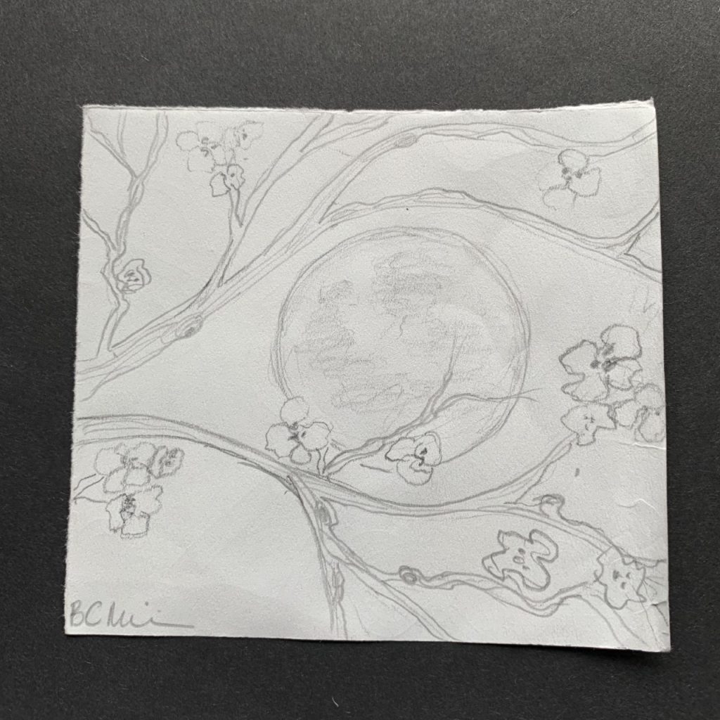 Pencil Drawing - Cherry Moon - BC Mazlin