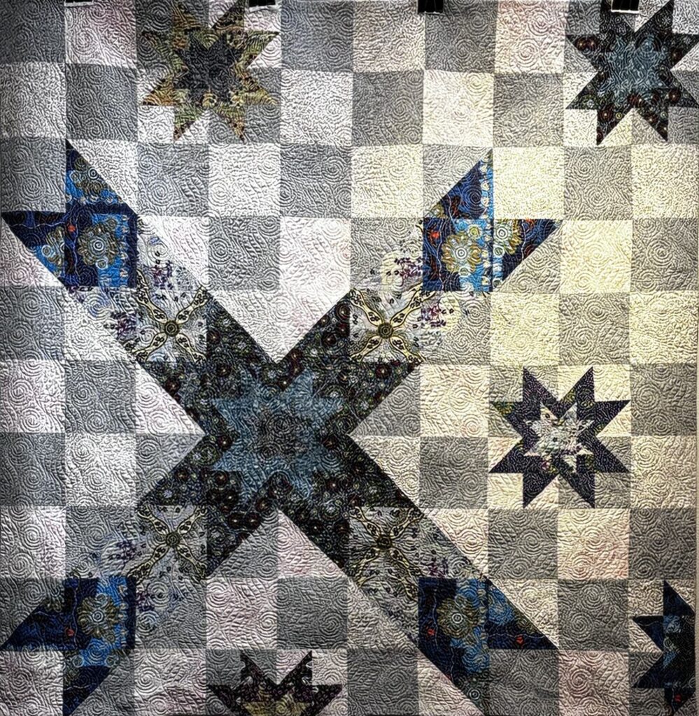 Quilt Art Exhibit 2025