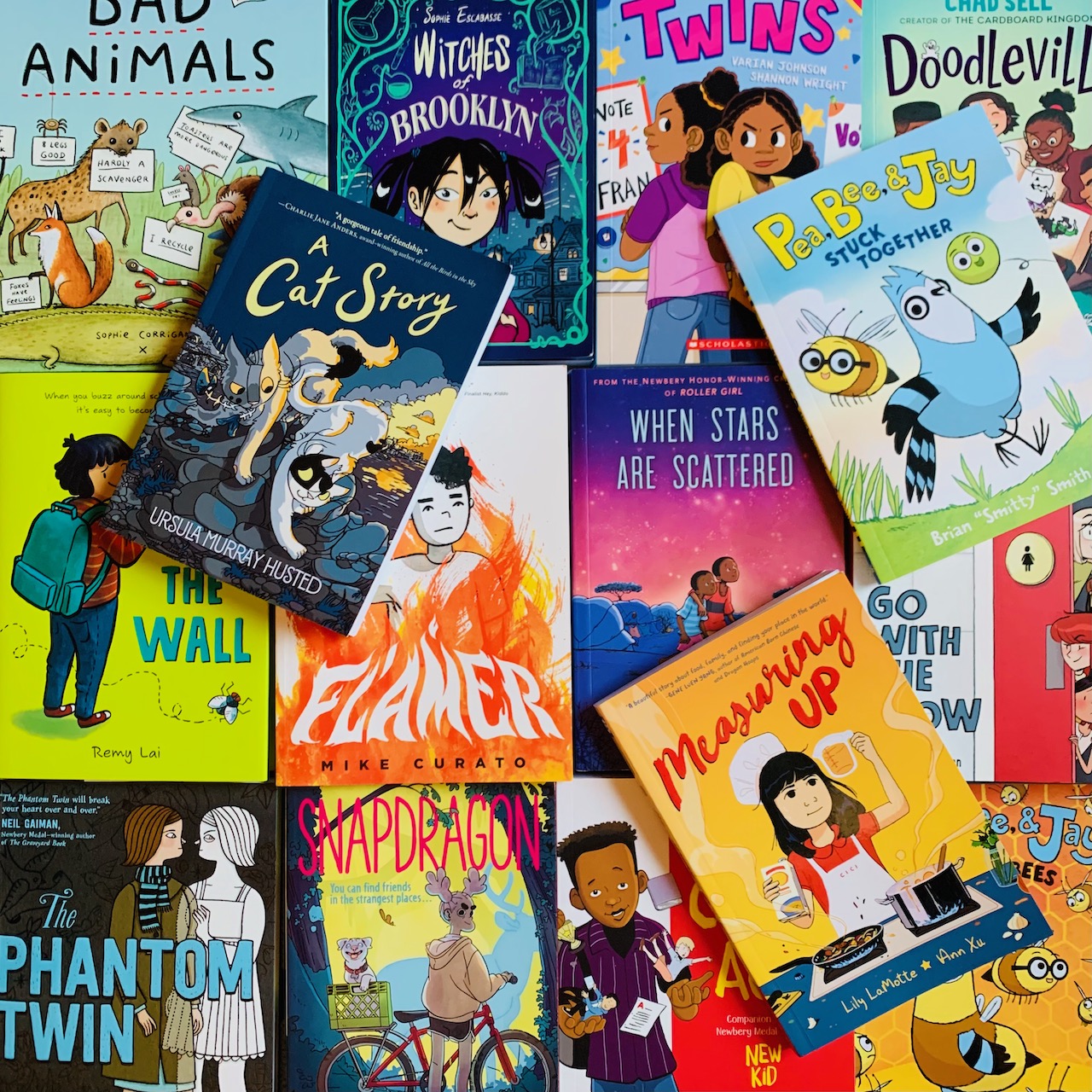 Graphic Novels variety of book covers for elementary age students